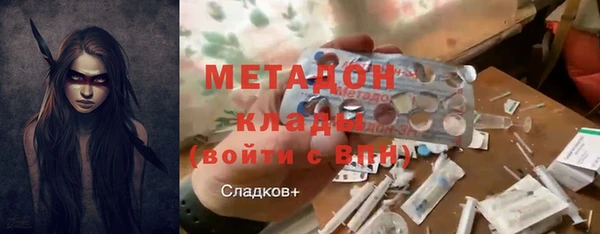 гидра Няндома