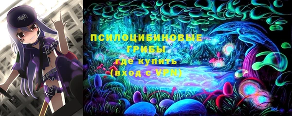 гидра Няндома