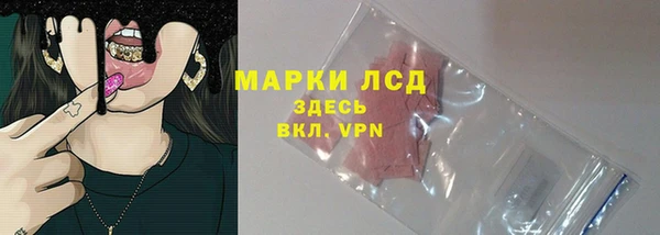 гидра Няндома
