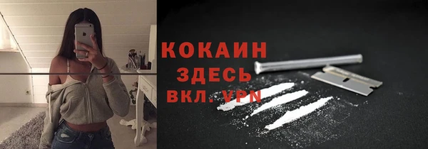 гидра Няндома