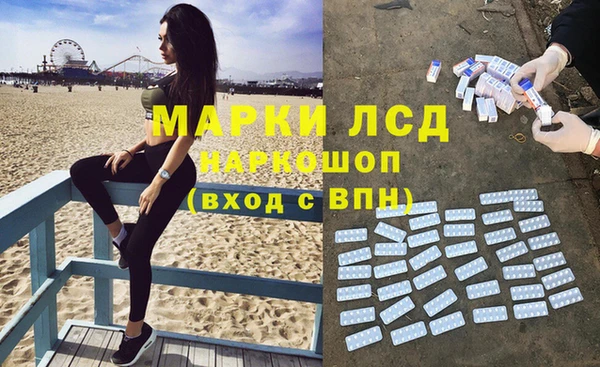гидра Няндома