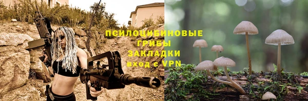 гидра Няндома