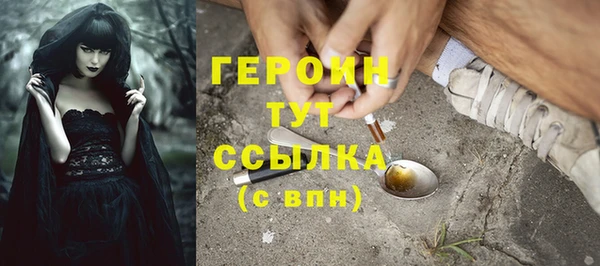 гидра Няндома