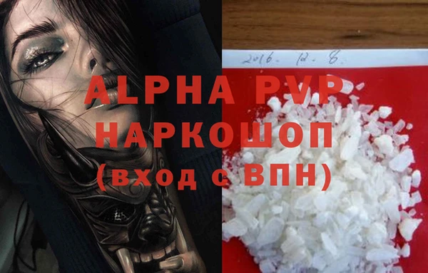 стаф Осинники