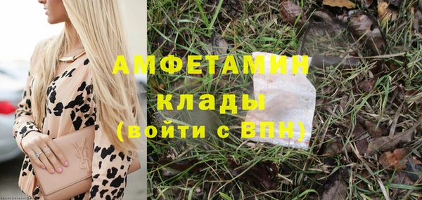 гидра Няндома