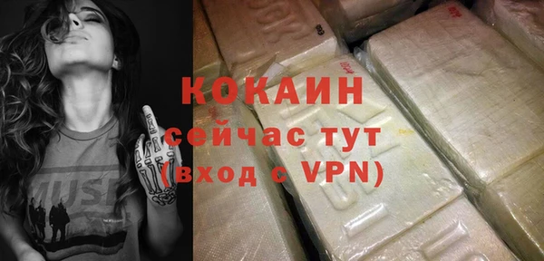 гидра Няндома